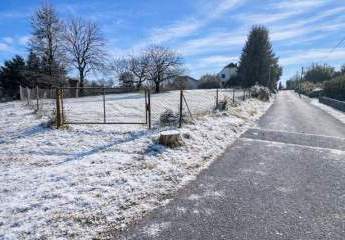 475387-Vorschaubild3