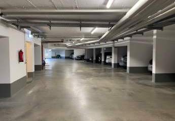 479450-Vorschaubild4