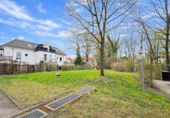 479602-Vorschaubild2