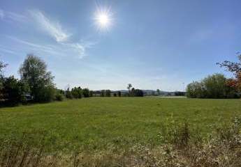 479604-Vorschaubild2