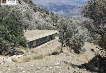 Kreta, Orne, Erdgeschütze Öko-Villa 220m² Wfl. 16.000m² Grundstück (Olivenhain)