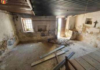 451245-Vorschaubild3