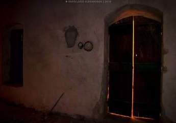 452033-Vorschaubild2