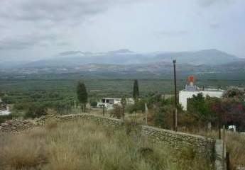 452033-Vorschaubild3