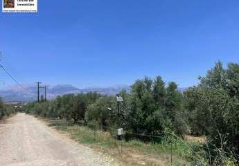 452575-Vorschaubild4