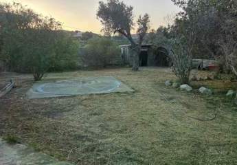 452852-Vorschaubild4