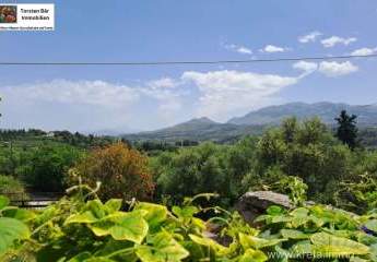 453685-Vorschaubild2