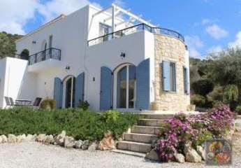 453750-Vorschaubild3