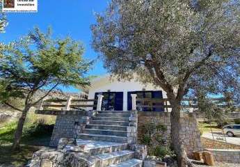 453754-Vorschaubild4