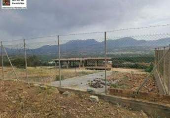 454495-Vorschaubild4