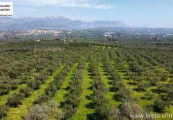 456008-Vorschaubild2