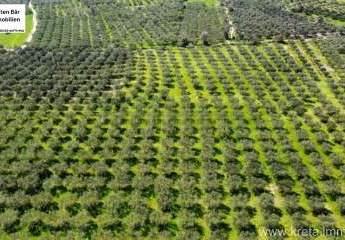 456008-Vorschaubild4