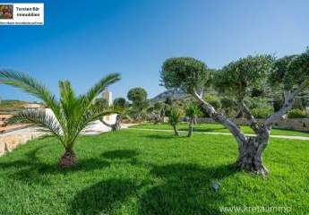 458025-Vorschaubild3