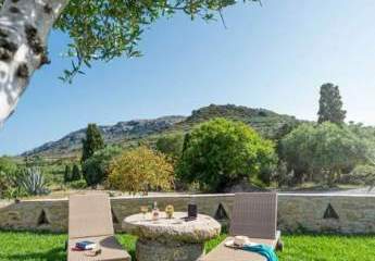 458025-Vorschaubild4