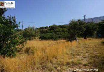 458722-Vorschaubild3