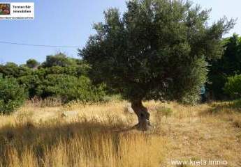 458722-Vorschaubild4