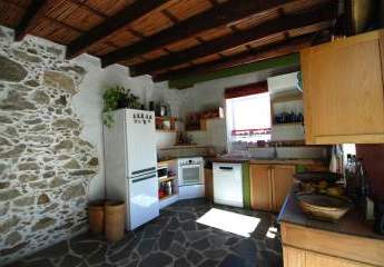 458813-Vorschaubild4