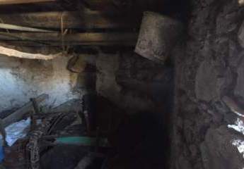 459099-Vorschaubild3