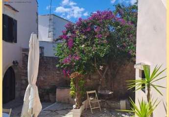 461016-Vorschaubild3