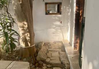 427950-Vorschaubild2