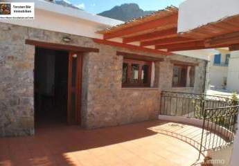 461031-Vorschaubild4