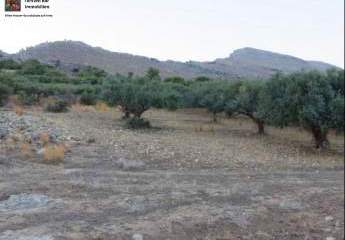 461033-Vorschaubild4