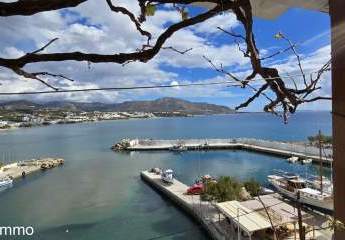 Kreta, Makri Gialos Apartmenthaus in fantastischer Lage am Hafen