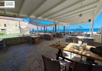 461055-Vorschaubild4