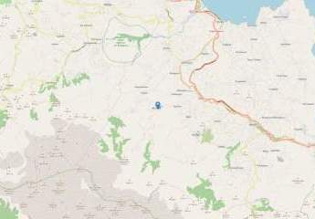 449034-Vorschaubild3