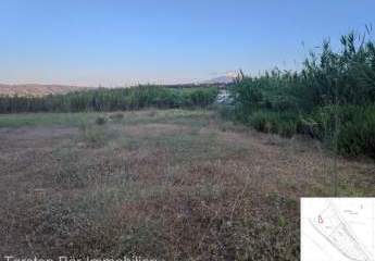 461058-Vorschaubild2