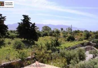 461087-Vorschaubild4