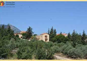 461114-Vorschaubild3