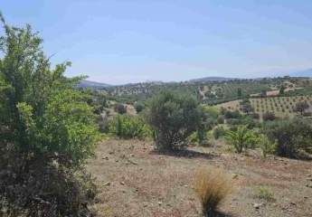 461140-Vorschaubild4