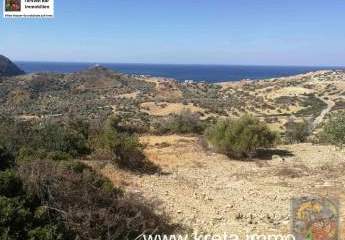 461146-Vorschaubild2