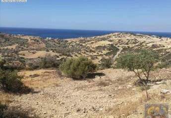 461146-Vorschaubild3