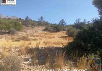 461146-Vorschaubild4