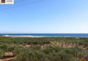 461152-Vorschaubild2