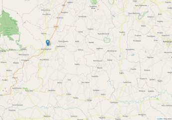 461153-Vorschaubild3