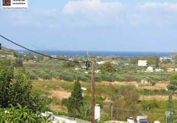 461170-Vorschaubild2