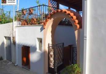 461170-Vorschaubild4