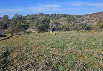 461213-Vorschaubild3