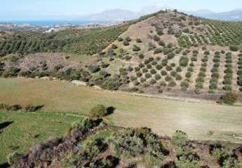 461213-Vorschaubild4