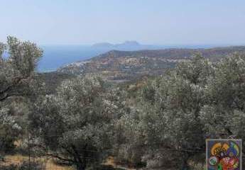 461227-Vorschaubild3