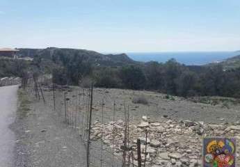 461227-Vorschaubild4