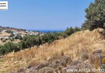 461229-Vorschaubild3