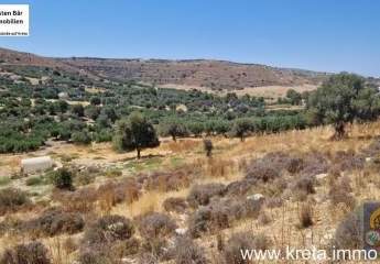 461229-Vorschaubild4