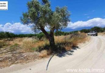 461236-Vorschaubild3