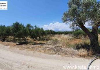 461236-Vorschaubild4