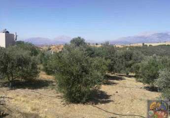 461243-Vorschaubild3