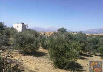 461243-Vorschaubild4